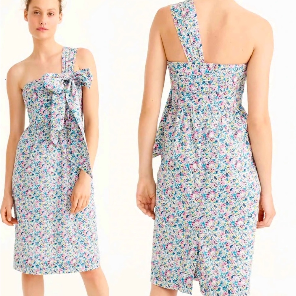 J Crew Special Dress